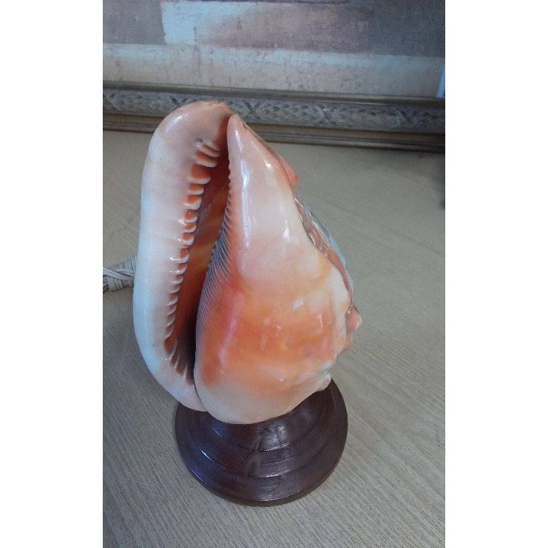 LAMPE COQUILLAGE 