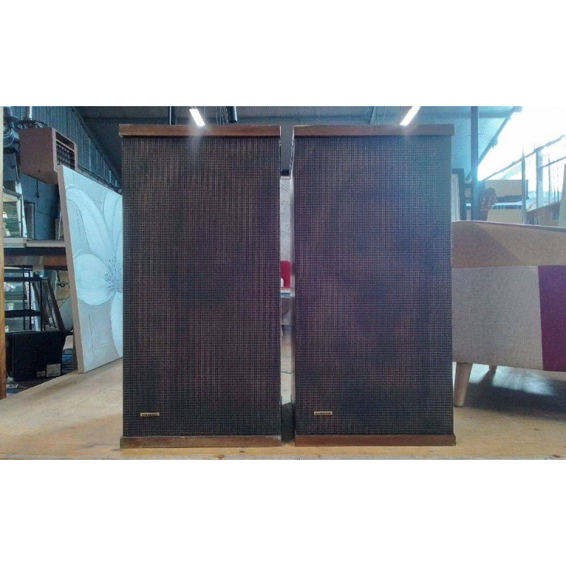 PAIRE D’ENCEINTES VINTAGES 2 VOIES SCHNEIDER 