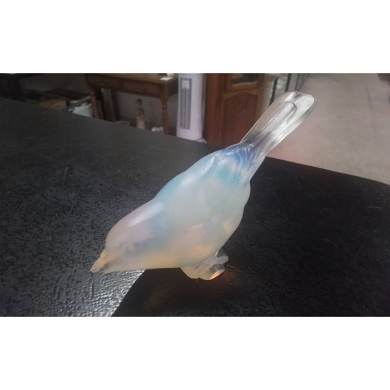 OISEAU OPALESCENT