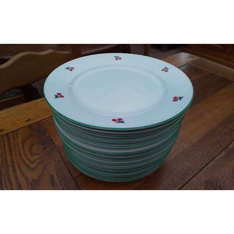 LOT DE 16 ASSIETTES A DESSERT HARMONIE CHERRY DIAM 21 CM
