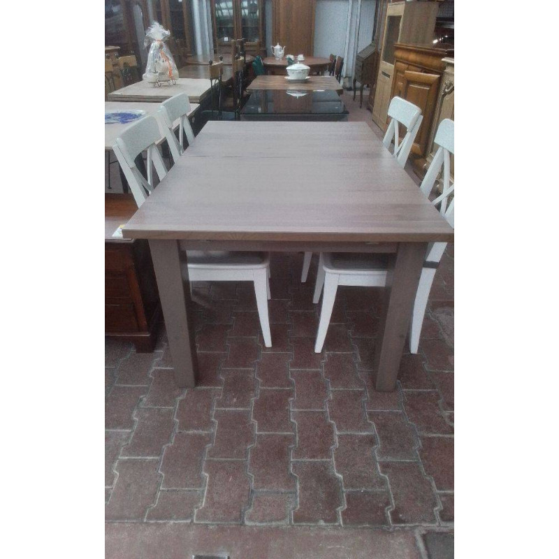 TABLE MODERNE 1 ALLONGE 