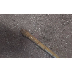 BANNIÈRE DE PROCESSION