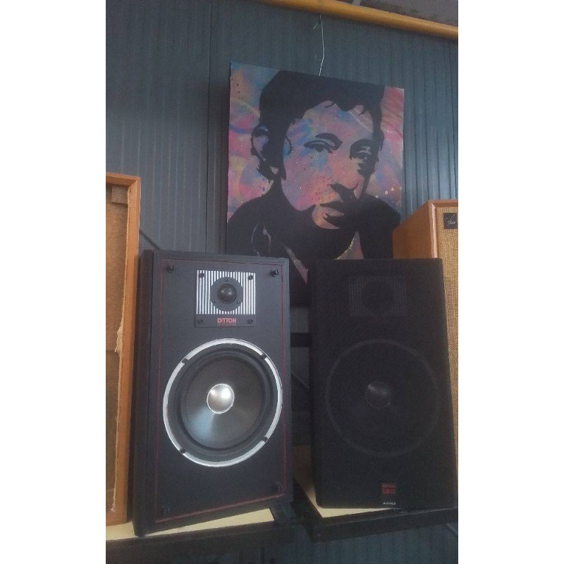 ENCEINTES DITTON LB12