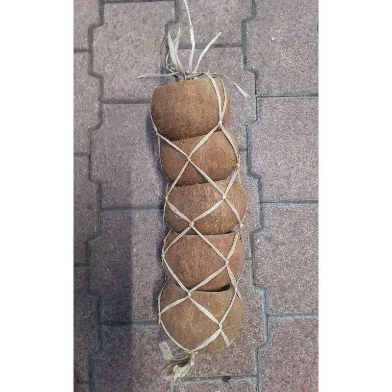 DÉCORATION EXOTIQUE 