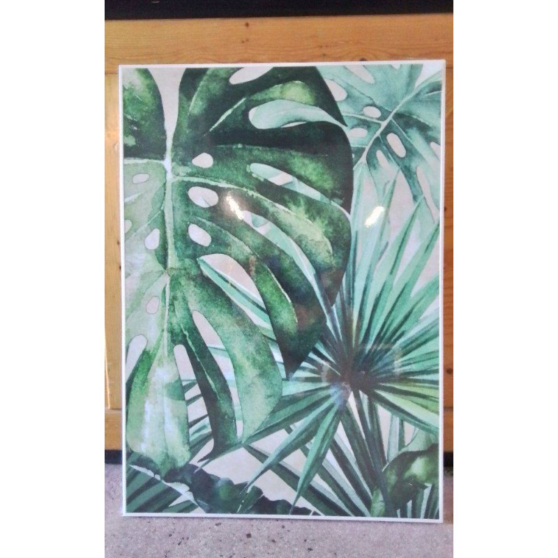 CADRE PLANTES