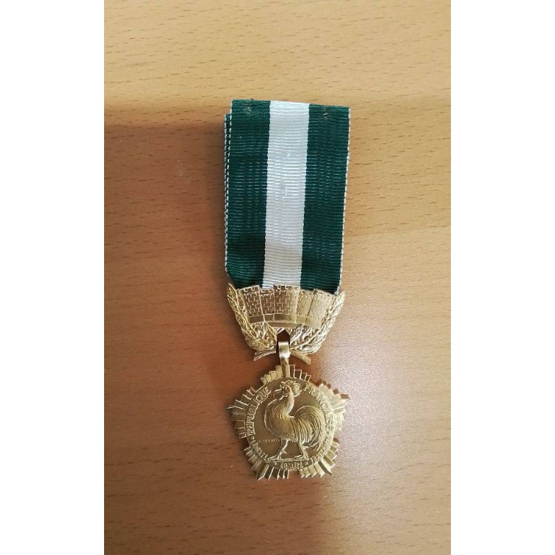 MÉDAILLE COLLECTIVITÉS LOCALES 