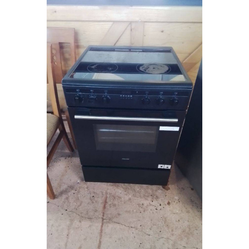 GAZINIERE INDUCTION PROLINE 